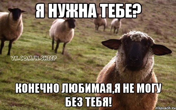 я нужна тебе? конечно любимая,я не могу без тебя!, Мем  Наивная Овца