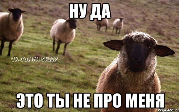 ну да это ты не про меня, Мем  Наивная Овца