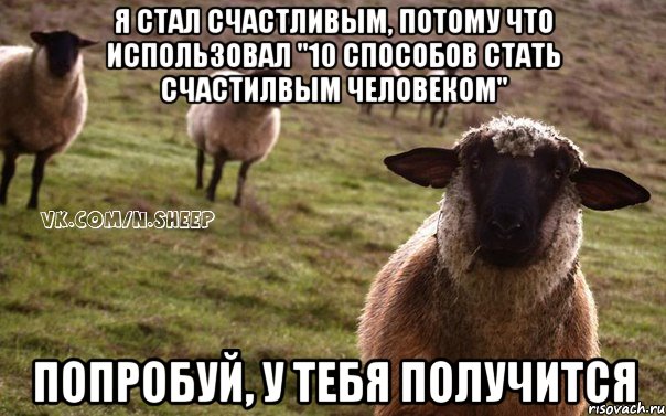 Я стал счастливым, потому что использовал "10 способов стать счастилвым человеком" Попробуй, у тебя получится, Мем  Наивная Овца