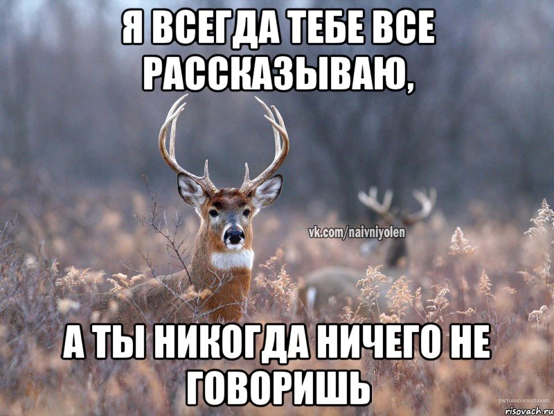 Я всегда тебе все рассказываю, а ты никогда ничего не говоришь, Мем   Наивный олень