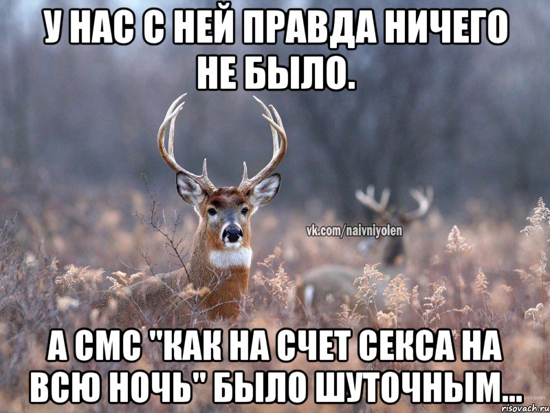 У нас с ней правда ничего не было. А смс "как на счет секса на всю ночь" было шуточным..., Мем   Наивный олень