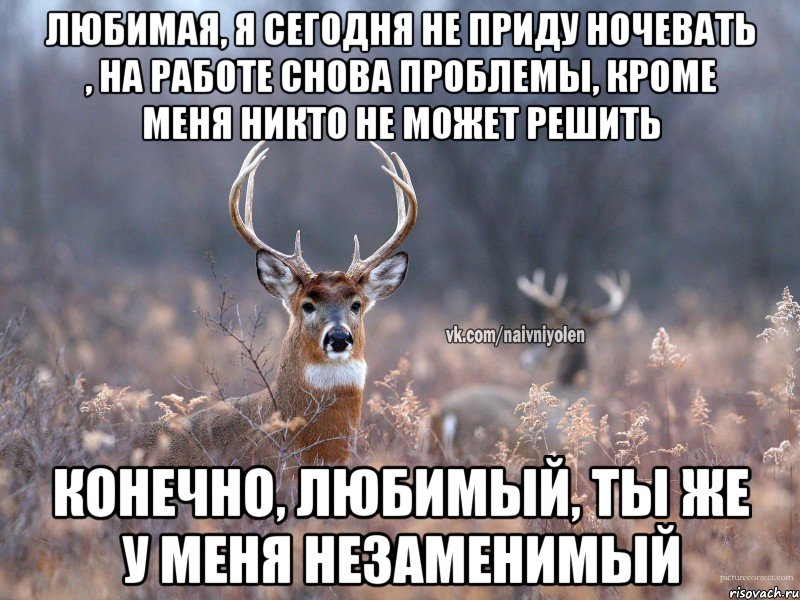 Любимая, я сегодня не приду ночевать , на работе снова проблемы, кроме меня никто не может решить Конечно, любимый, ты же у меня незаменимый, Мем   Наивный олень