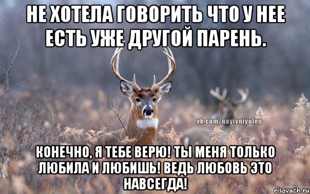 Не хотела говорить что у нее есть уже другой парень. Конечно, я тебе верю! Ты меня только любила и любишь! Ведь любовь это навсегда!, Мем   Наивный олень