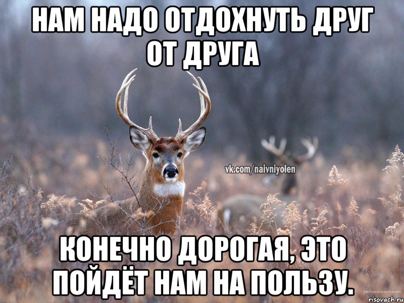 нам надо отдохнуть друг от друга конечно дорогая, это пойдёт нам на пользу., Мем   Наивный олень