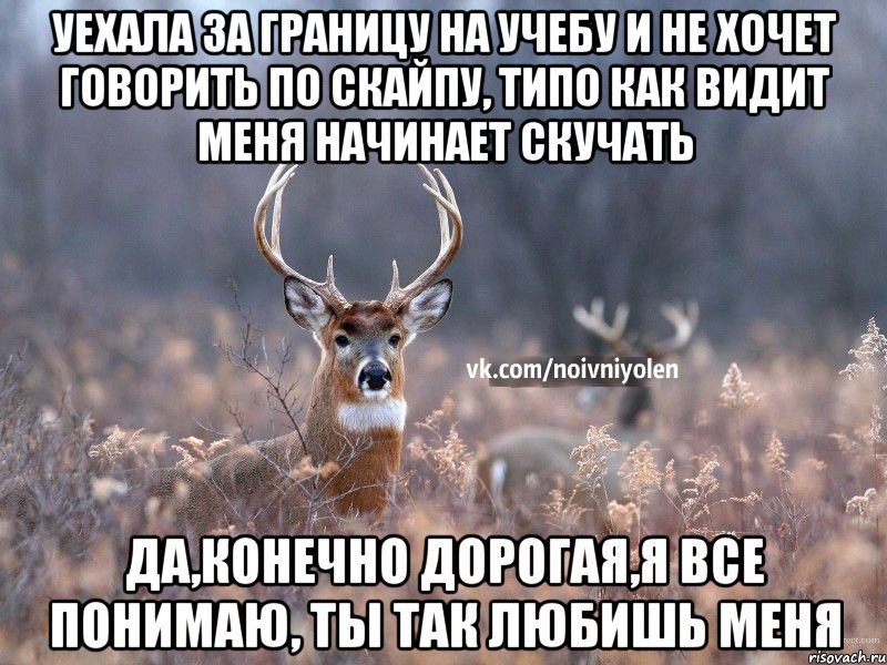 Уехала за границу на учебу и не хочет говорить по скайпу, типо как видит меня начинает скучать Да,конечно дорогая,я все понимаю, ты так любишь меня