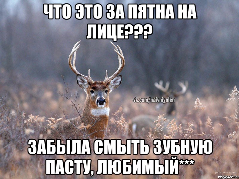 что это за пятна на лице??? Забыла смыть зубную пасту, любимый***, Мем   Наивный олень