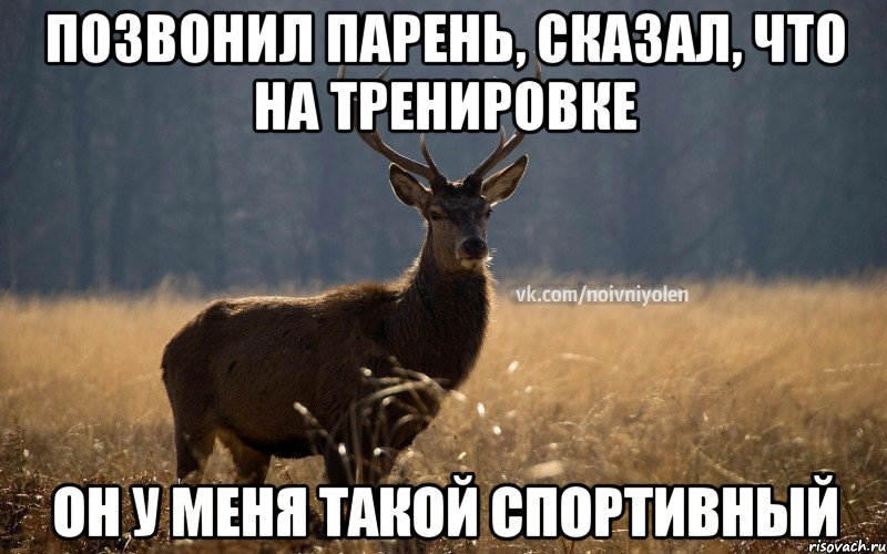 Позвонил парень, сказал, что на тренировке Он у меня такой спортивный, Мем Наивный Олень vk2