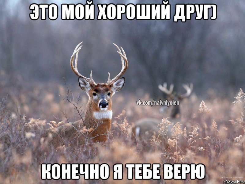 Это мой хороший друг) Конечно я тебе верю, Мем   Наивный олень