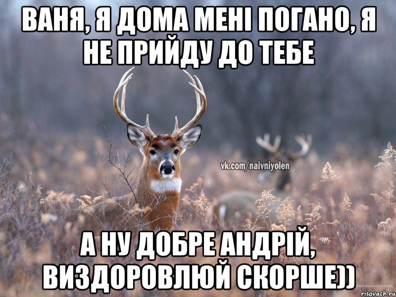 Ваня, я дома мені погано, я не прийду до тебе а ну добре Андрій, виздоровлюй скорше)), Мем   Наивный олень