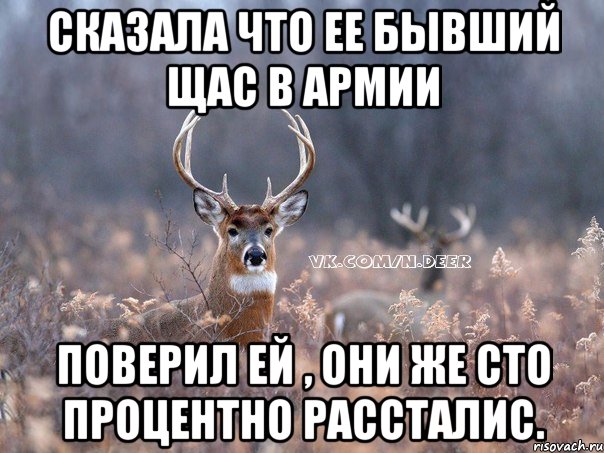 Сказала что ее бывший щас в армии Поверил ей , они же сто процентно рассталис., Мем   Наивный олень