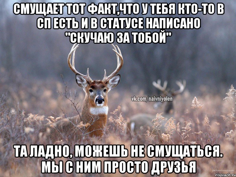 Смущает тот факт,что у тебя кто-то в сп есть и в статусе написано "скучаю за тобой" Та ладно, можешь не смущаться. Мы с ним просто друзья, Мем   Наивный олень