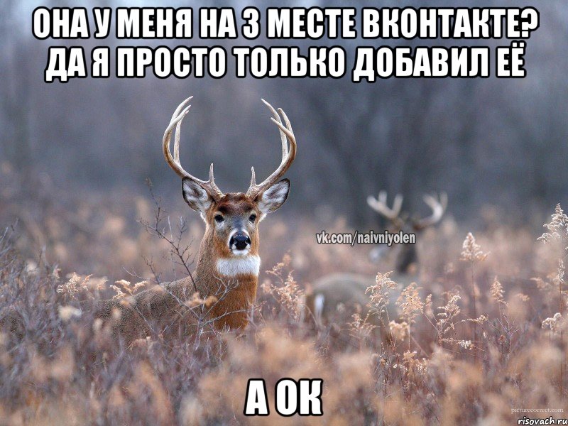 она у меня на 3 месте вконтакте? да я просто только добавил её а ок, Мем   Наивный олень