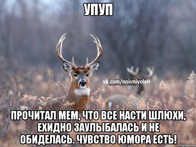 упуп Прочитал мем, что все Насти шлюхи, ехидно заулыбалась и не обиделась. Чувство юмора есть!, Мем Наивный Олень vk