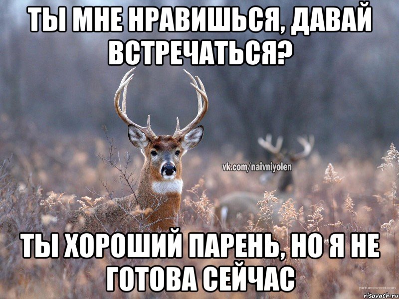 Ты мне нравишься, давай встречаться? Ты хороший парень, но я не готова сейчас, Мем   Наивный олень