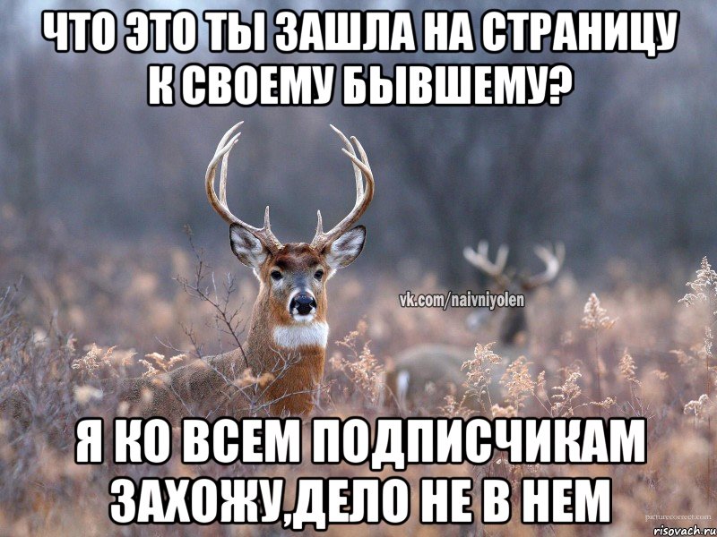 Что это ты зашла на страницу к своему бывшему? я ко всем подписчикам захожу,дело не в нем, Мем   Наивный олень