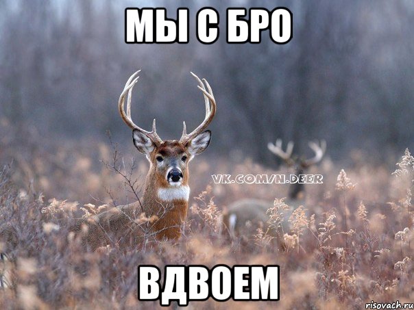 МЫ С БРО ВДВОЕМ, Мем   Наивный олень