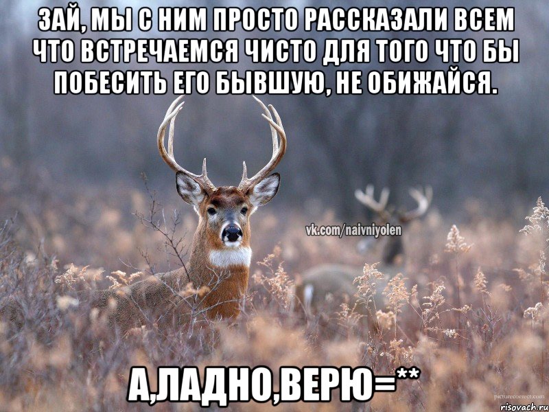 Зай, мы с ним просто рассказали всем что встречаемся чисто для того что бы побесить его бывшую, не обижайся. А,ладно,верю=**, Мем   Наивный олень