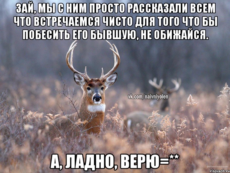 Зай, мы с ним просто рассказали всем что встречаемся чисто для того что бы побесить его бывшую, не обижайся. А, ладно, верю=**, Мем   Наивный олень