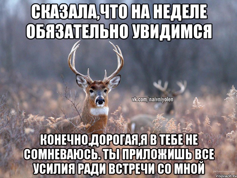 Сказала,что на неделе обязательно увидимся Конечно,дорогая,я в тебе не сомневаюсь. Ты приложишь все усилия ради встречи со мной, Мем   Наивный олень