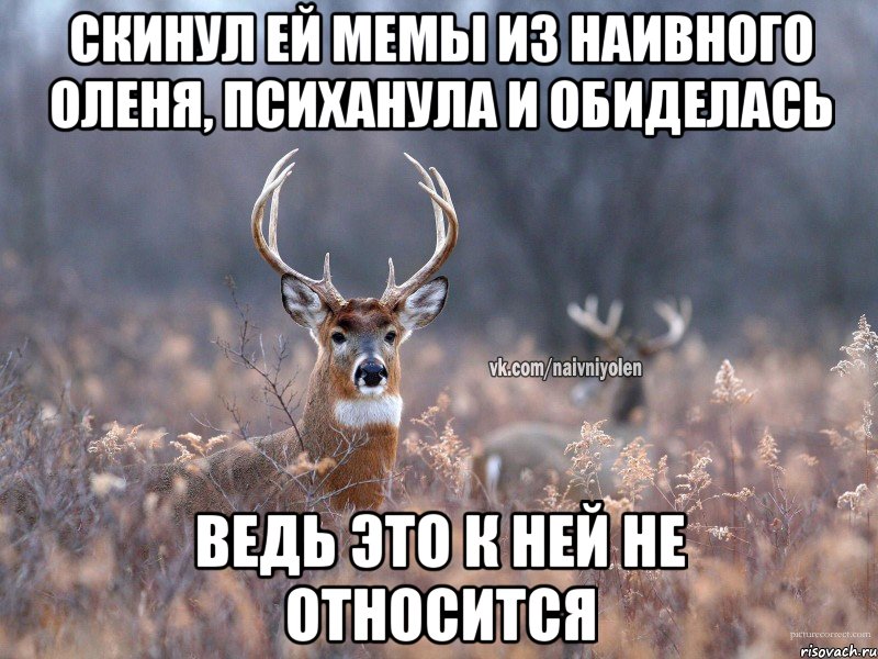 скинул ей мемы из наивного оленя, психанула и обиделась ведь это к ней не относится, Мем   Наивный олень