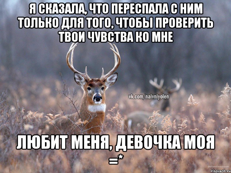 Я сказала, что переспала с ним только для того, чтобы проверить твои чувства ко мне ЛЮБИТ МЕНЯ, ДЕВОЧКА МОЯ =*, Мем   Наивный олень