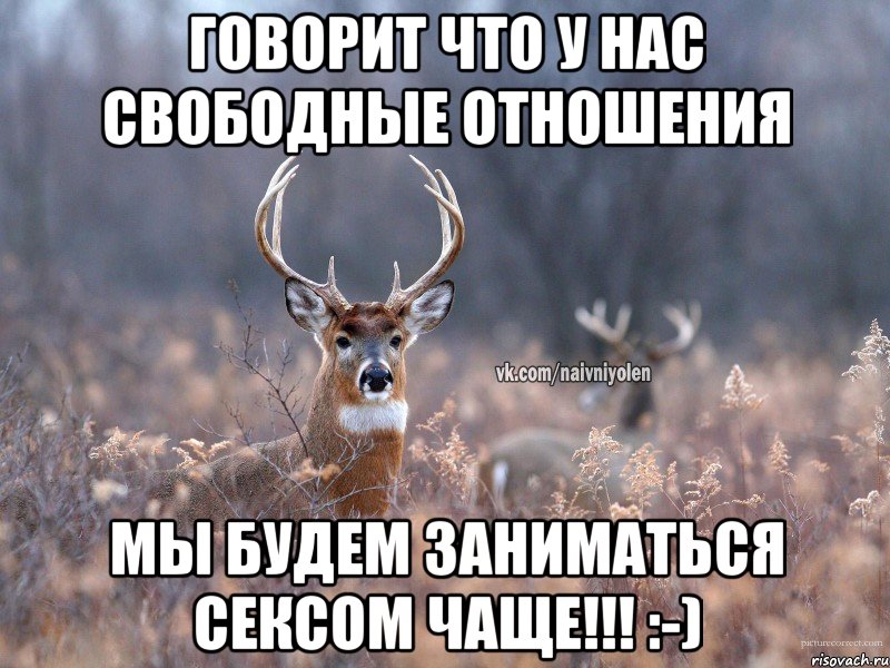 Говорит что у нас свободные отношения Мы будем заниматься сексом чаще!!! :-), Мем   Наивный олень