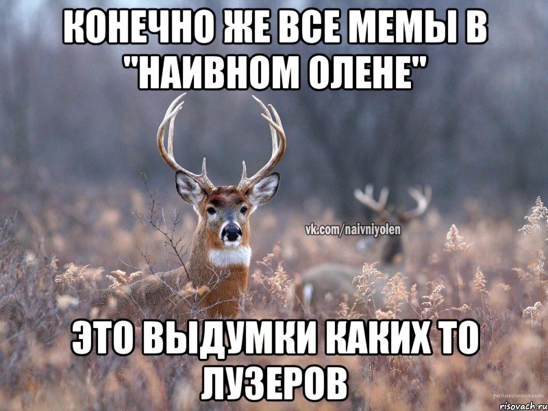 Конечно же все мемы в "Наивном олене" Это выдумки каких то лузеров, Мем   Наивный олень