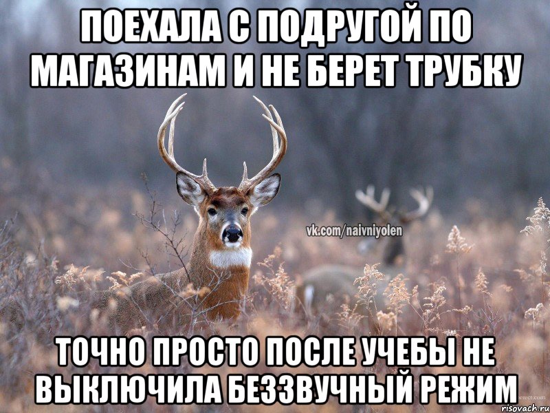 поехала с подругой по магазинам и не берет трубку точно просто после учебы не выключила беззвучный режим, Мем   Наивный олень