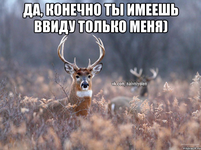 да, конечно ты имеешь ввиду только меня) , Мем   Наивный олень