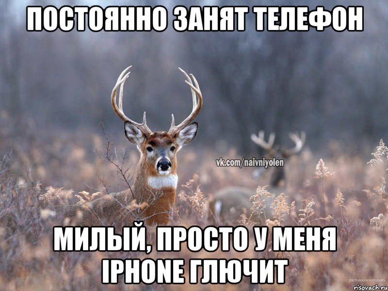 Постоянно занят телефон Милый, просто у меня iPhone глючит, Мем   Наивный олень