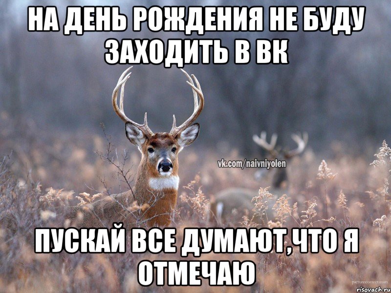 На день рождения не буду заходить в ВК Пускай все думают,что я отмечаю, Мем   Наивный олень