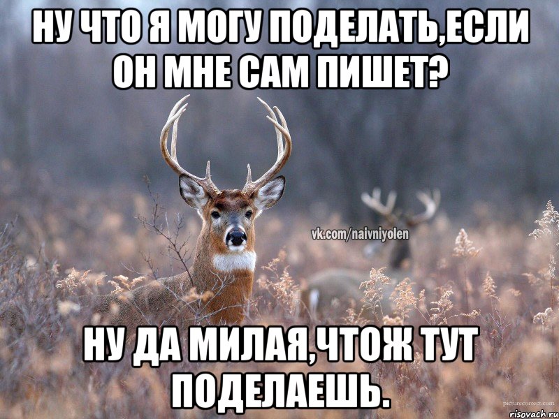 Ну что я могу поделать,если он мне сам пишет? Ну да милая,чтож тут поделаешь., Мем   Наивный олень