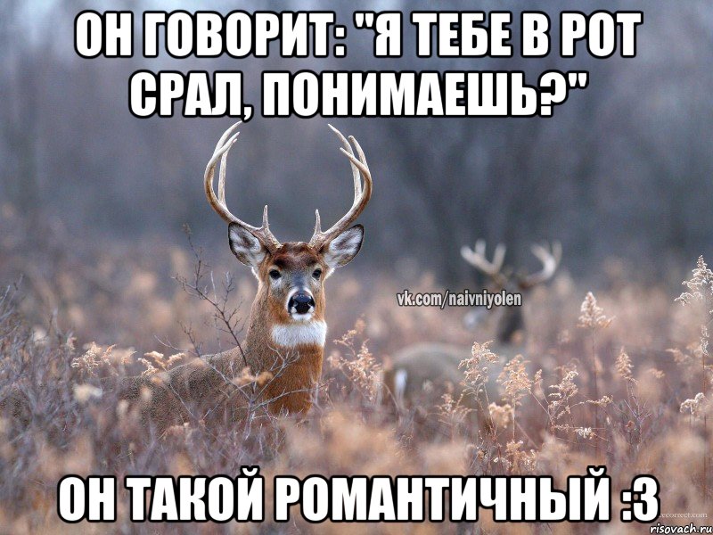 Он говорит: "я тебе в рот срал, понимаешь?" Он такой романтичный :3, Мем   Наивный олень