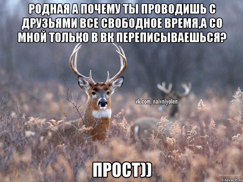 Родная а почему ты проводишь с друзьями все свободное время,а со мной только в вк переписываешься? Прост)), Мем   Наивный олень