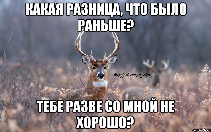 какая разница, что было раньше? тебе разве со мной не хорошо?, Мем   Наивный олень