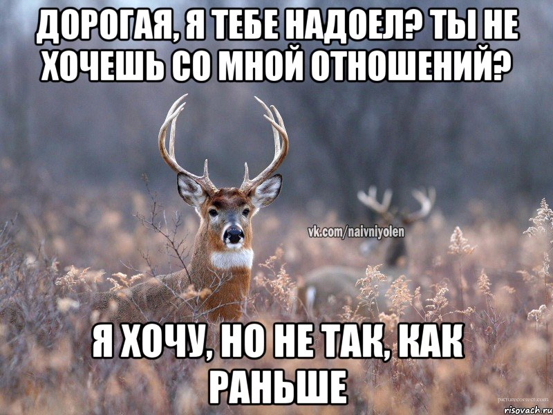 Дорогая, я тебе надоел? Ты не хочешь со мной отношений? Я хочу, но не так, как раньше, Мем   Наивный олень