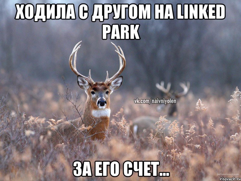 Ходила с другом на Linked Park за его счет..., Мем   Наивный олень