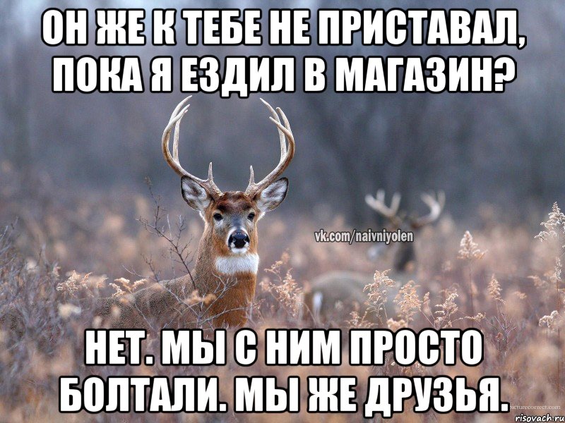 Он же к тебе не приставал, пока я ездил в магазин? Нет. Мы с ним просто болтали. Мы же друзья., Мем   Наивный олень