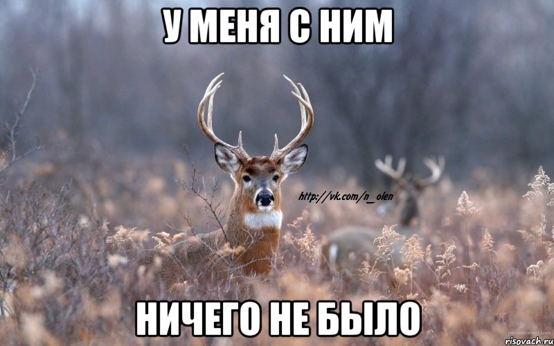 У меня с ним ничего не было, Мем   Наивный олень