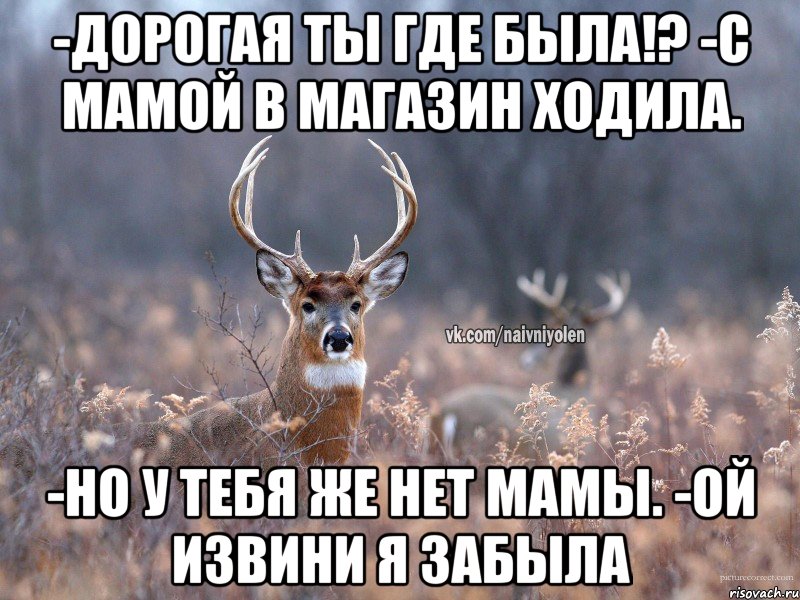 -Дорогая ты где была!? -С мамой в магазин ходила. -Но у тебя же нет мамы. -Ой извини я забыла, Мем   Наивный олень