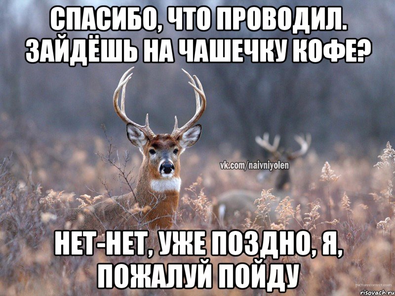 спасибо, что проводил. зайдёшь на чашечку кофе? нет-нет, уже поздно, я, пожалуй пойду, Мем   Наивный олень