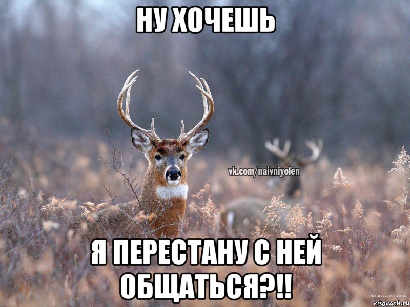 ну хочешь я перестану с ней общаться?!!, Мем   Наивный олень