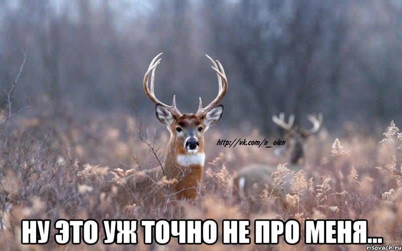  ну это уж точно не про меня..., Мем   Наивный олень