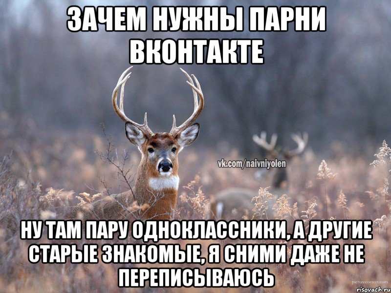 Зачем нужны парни вконтакте ну там пару одноклассники, а другие старые знакомые, я сними даже не переписываюсь, Мем   Наивный олень