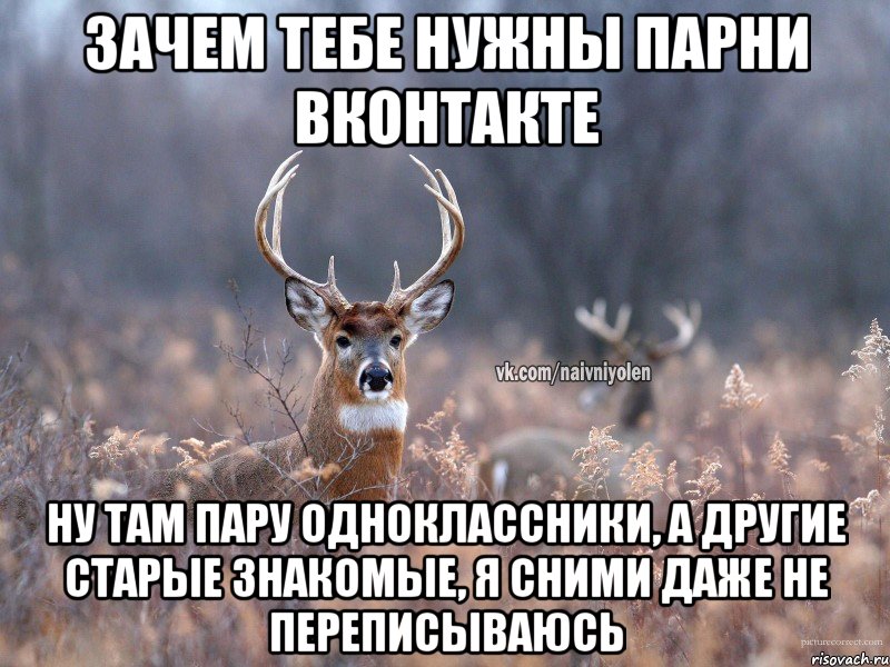 Зачем тебе нужны парни вконтакте ну там пару одноклассники, а другие старые знакомые, я сними даже не переписываюсь, Мем   Наивный олень