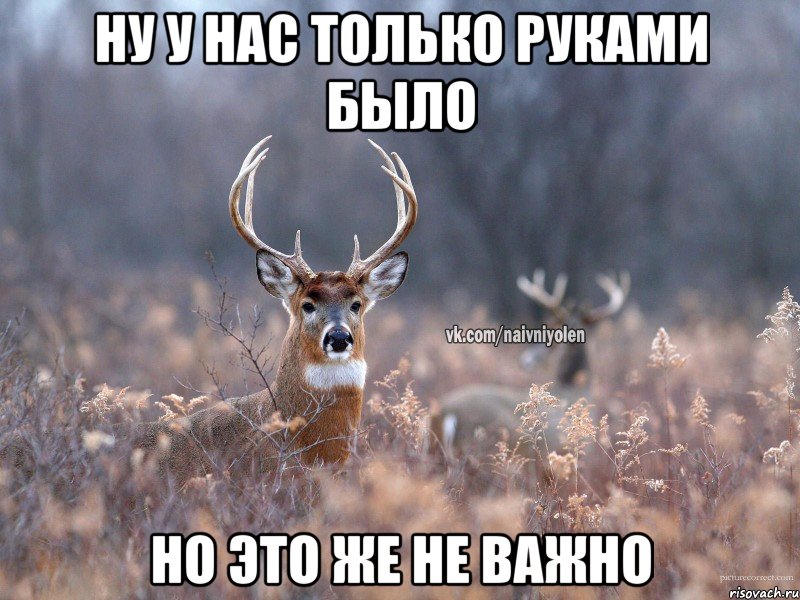 НУ У НАС ТОЛЬКО РУКАМИ БЫЛО НО ЭТО ЖЕ НЕ ВАЖНО, Мем   Наивный олень