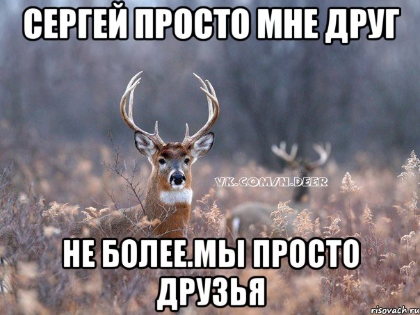 сергей просто мне друг не более.мы просто друзья, Мем   Наивный олень