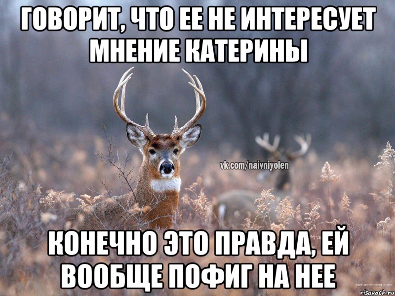 говорит, что ее не интересует мнение катерины конечно это правда, ей вообще пофиг на нее, Мем   Наивный олень