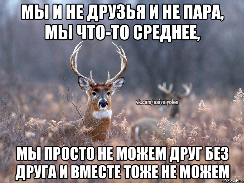 МЫ И НЕ ДРУЗЬЯ И НЕ ПАРА, МЫ ЧТО-ТО СРЕДНЕЕ, МЫ ПРОСТО НЕ МОЖЕМ ДРУГ БЕЗ ДРУГА И ВМЕСТЕ ТОЖЕ НЕ МОЖЕМ, Мем   Наивный олень