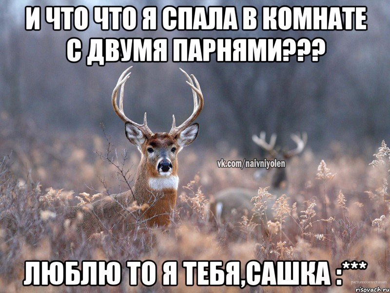 И что что я спала в комнате с двумя парнями??? Люблю то я тебя,Сашка :***, Мем   Наивный олень